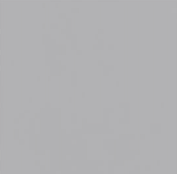 Gris Claro V